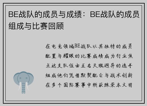 BE战队的成员与成绩：BE战队的成员组成与比赛回顾