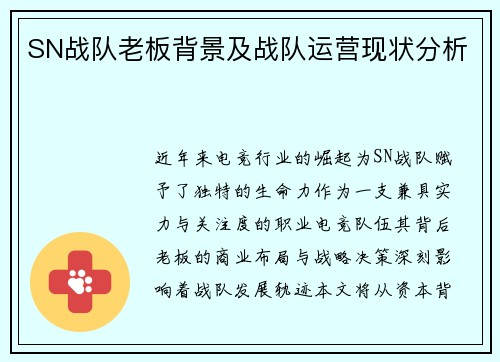 SN战队老板背景及战队运营现状分析